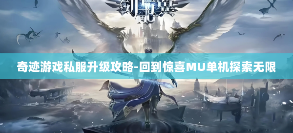 奇迹游戏私服升级攻略-回到惊喜MU单机探索无限  第1张