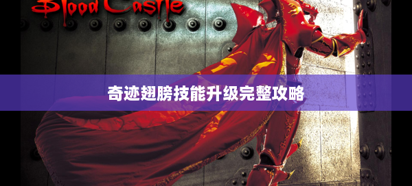 奇迹翅膀技能升级完整攻略  第2张
